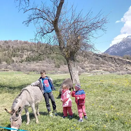 La Maison Du Bon Megnadzo 게스트하우스