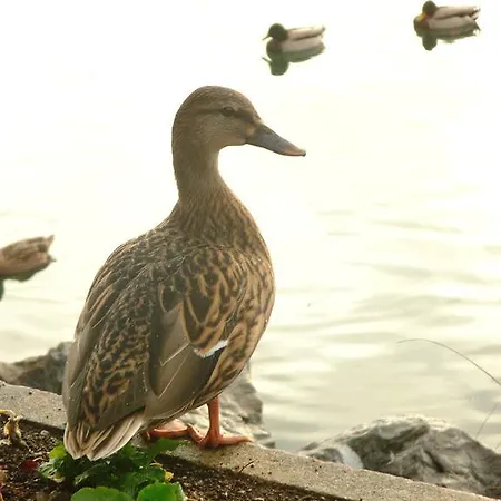 La Maison Du Bon Megnadzo 3*