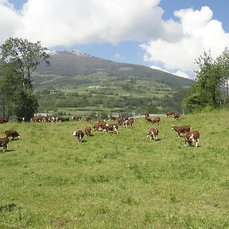 La Maison Du Bon Megnadzo 게스트하우스