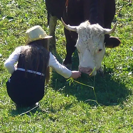 Гостевой дом La Maison Du Bon Megnadzo Doues