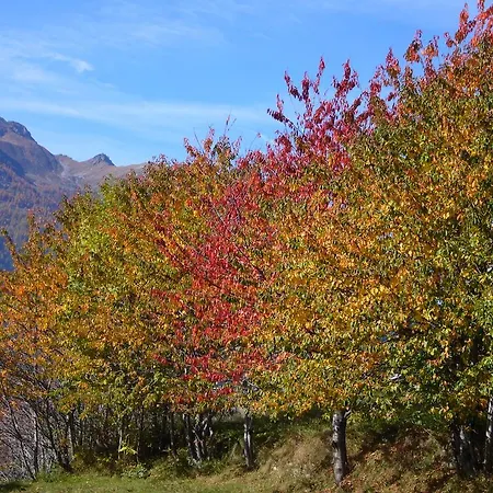 La Maison Du Bon Megnadzo 도우에스