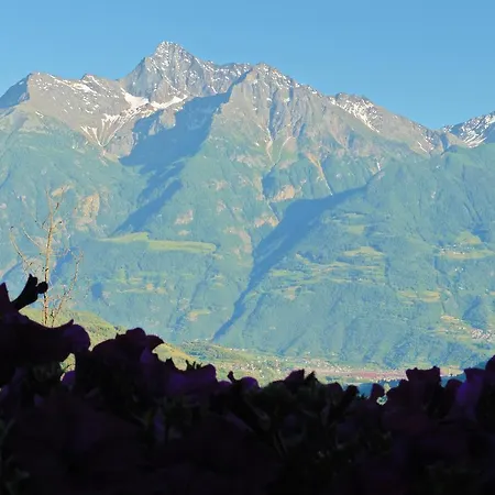 Гостевой дом La Maison Du Bon Megnadzo