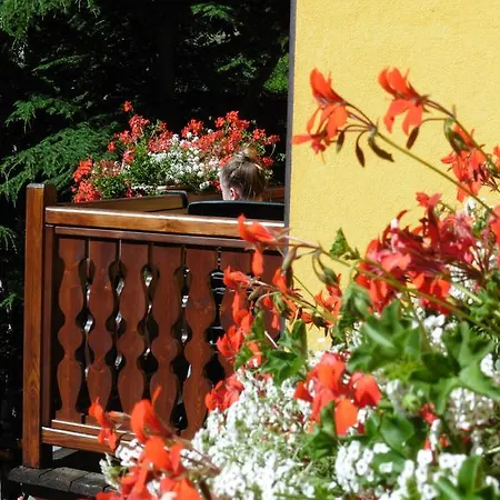 La Maison Du Bon Megnadzo Doues