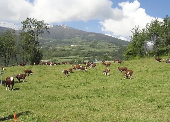 La Maison Du Bon Megnadzo Penzion