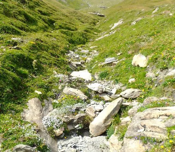 La Maison Du Bon Megnadzo Doues