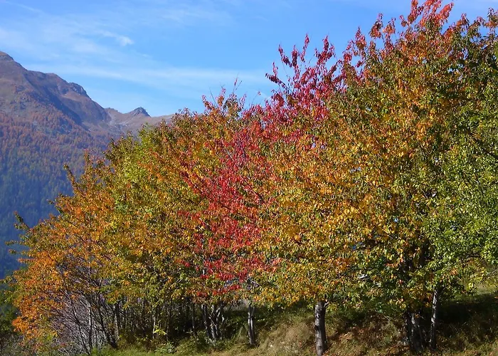 La Maison Du Bon Megnadzo Doues