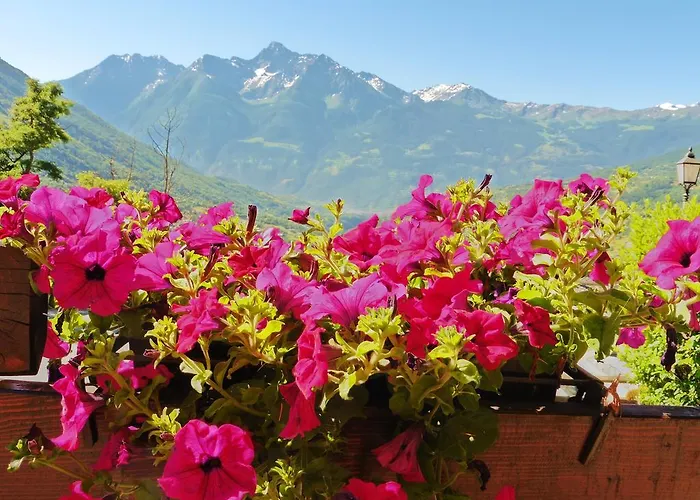 La Maison Du Bon Megnadzo Doues